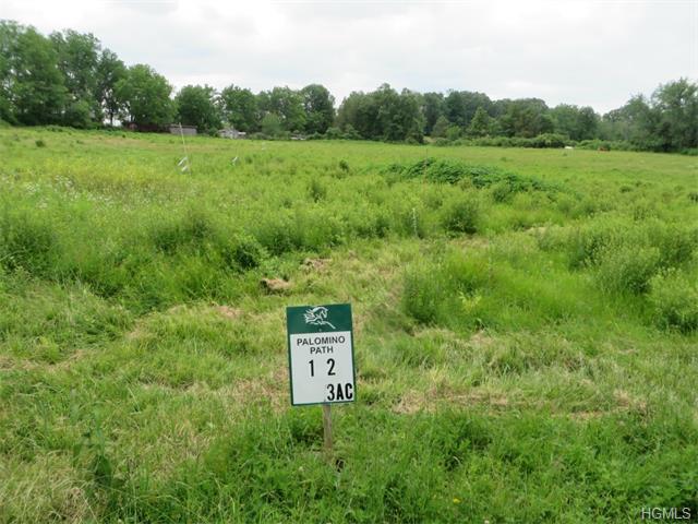 SOLD | Lot 12, 32 Palomino Path, High Falls NY 12440 | Equestrian Land in Duchess Farms