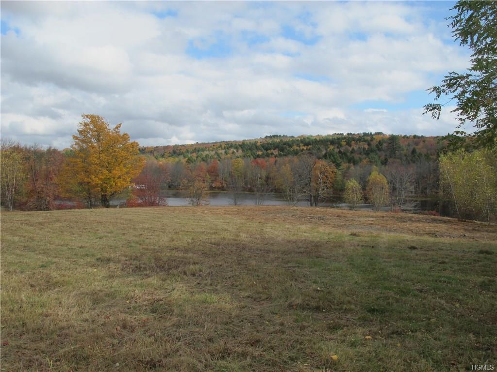 SOLD | Nys Hwy 55, Bethel NY 12720 | Raw Land for Commercial Site