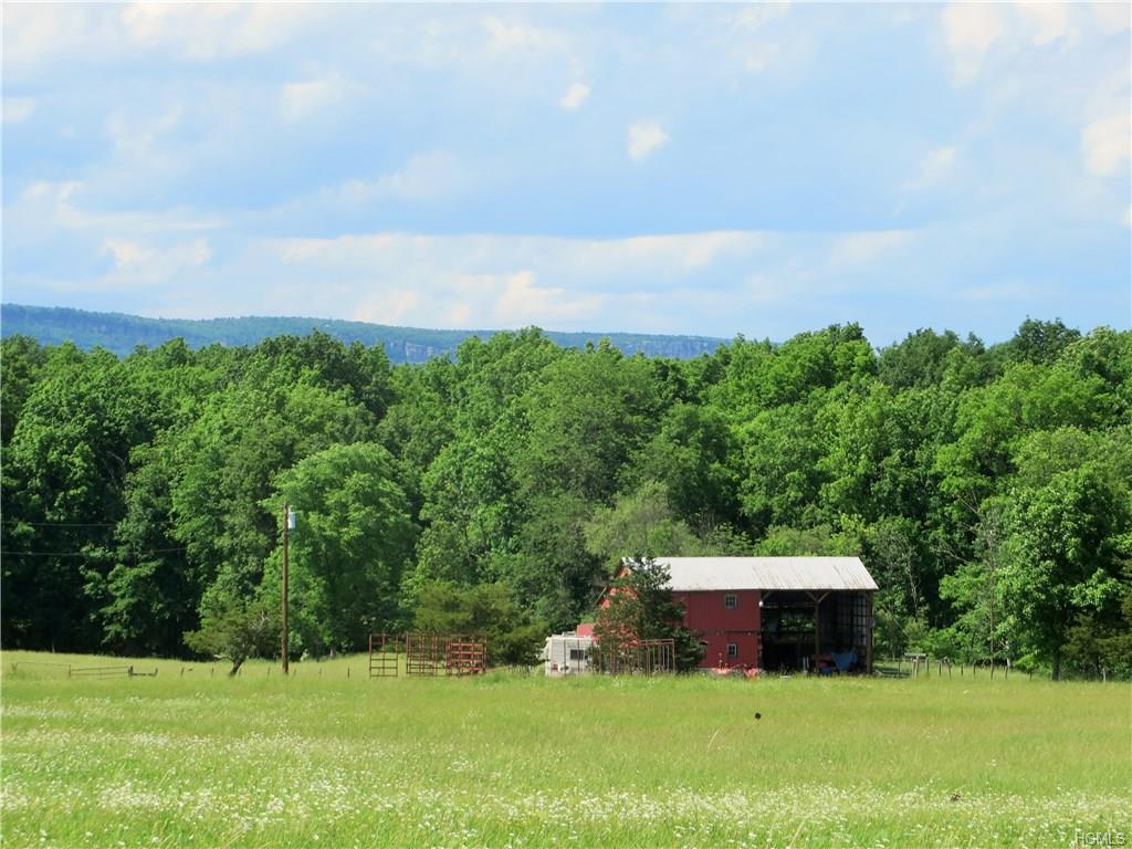 SOLD | Bruyn Turnpike, Wallkill NY 12589 | Almost 64 Acres of Beautiful Acreage with Outstanding Views