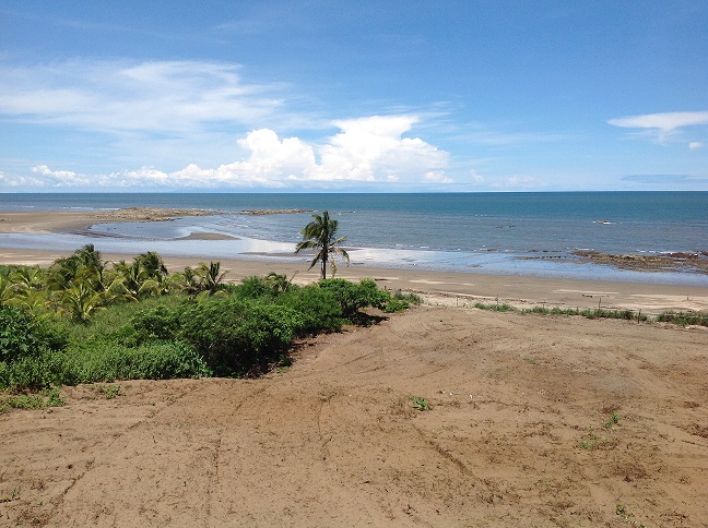 20 Hectares Beachfront Finca For Sale – Panama