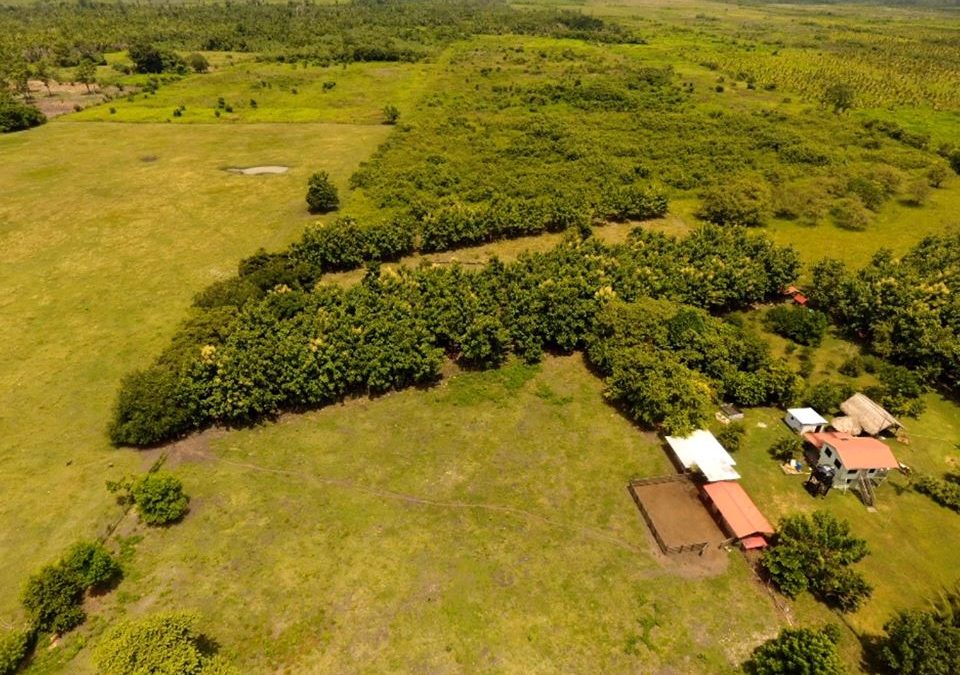 258 Acre Ranch, Amazing View Western Belize