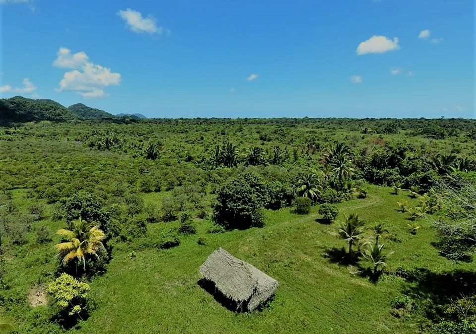 Own an Amazing Piece of Real Estate in Belize