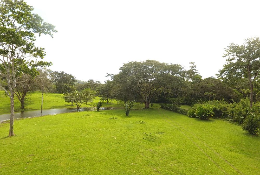 12.5 acres with Creek in Western Belize-Belize Real Estate