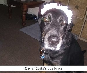 Olivier Costa's dog Finka