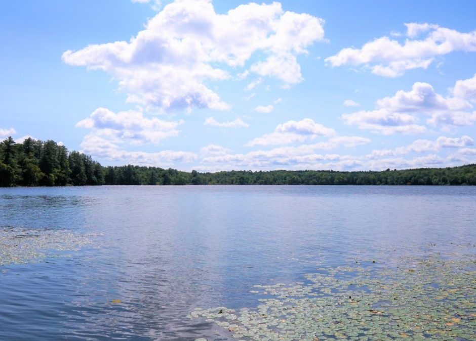 Land with a LOT of Appeal – Lot 17 Desmond Crossing – Black Lake Community, Sullivan County, NY12720
