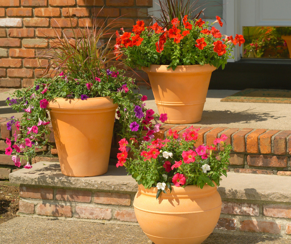 potted plants on porch